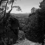 Château de Cadenet by Lio_stin - Cadenet 84160 Vaucluse Provence France