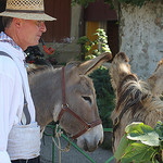 Fête de la Figue à Caromb par gab113 - Caromb 84330 Vaucluse Provence France