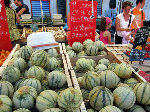 Les célèbres Melons de Cavaillon by __Olivier__