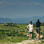 Chateauneuf du Pape : vue sur les vignes par jmt-29 - Châteauneuf-du-Pape 84230 Vaucluse Provence France