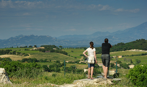 Chateauneuf du Pape : vue sur les vignes by jmt-29