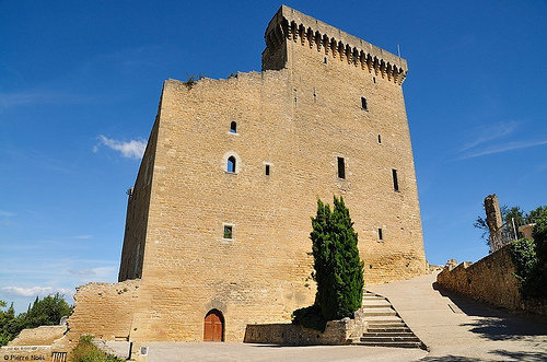 Château de Châteauneuf-du-Pape by Pierre Noël