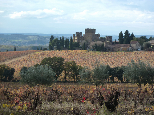 Vignes de Châteauneuf du Pape by Toño del Barrio