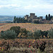 Vignes de Châteauneuf du Pape by Toño del Barrio - Châteauneuf-du-Pape 84230 Vaucluse Provence France