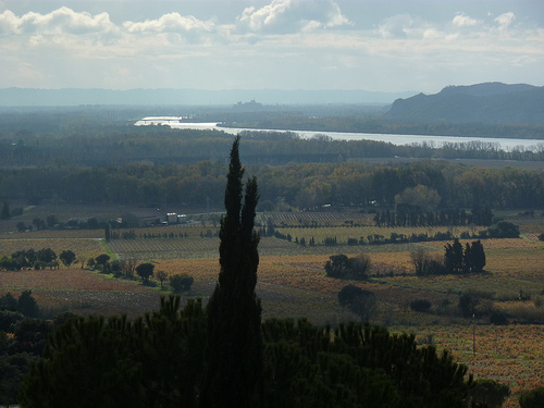 Vue vers Avignon et sur le Rhône by Toño del Barrio