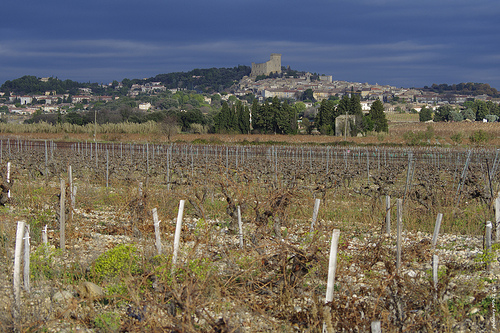 Chateauneuf du Pape - vue sur la ville et les vignes by phildesorg