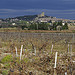 Chateauneuf du Pape - vue sur la ville et les vignes by phildesorg - Châteauneuf-du-Pape 84230 Vaucluse Provence France