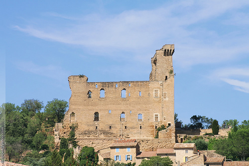 L'ancien château des princes d'Orange by Dominique Pipet