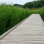 Passage surélevé sur l'ancien lac salé de Courthezon by phildesorg - Courthézon 84350 Vaucluse Provence France