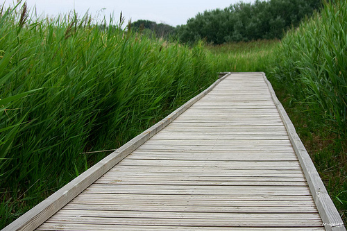 Passage surélevé sur l'ancien lac salé de Courthezon by phildesorg