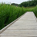 Passage surélevé sur l'ancien lac salé de Courthezon par phildesorg - Courthézon 84350 Vaucluse Provence France