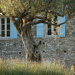 Lumière de Provence par MichaelFFM - Crestet 84110 Vaucluse Provence France