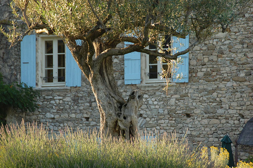 Lumière de Provence by MichaelFFM