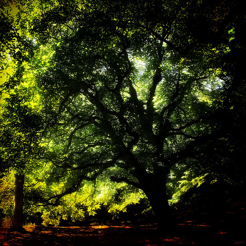 À l'ombre des gardiens de l'Abbaye. by Jostrech