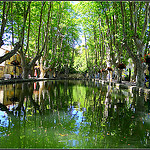 L'étang de Cucuron bordé de platanes par CHRIS230*** - Cucuron 84160 Vaucluse Provence France