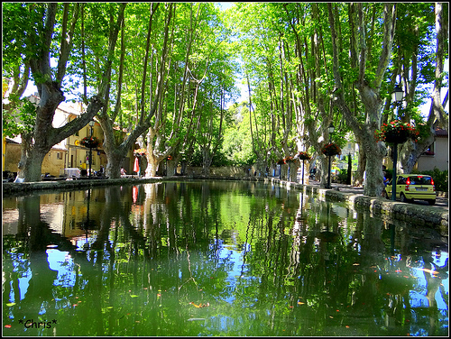 L'étang de Cucuron bordé de platanes by CHRIS230***