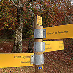 Chemin du Jas de Perrache - randonnée sur le Mont-Ventoux by gab113 - Flassan 84410 Vaucluse Provence France