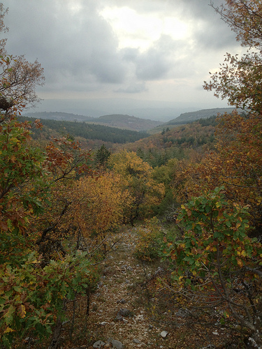 Vue depuis le Mont-ventoux en automne by gab113