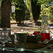 Rosé à l'ombre des cypres - La table... by F.G photographies - Flassan 84410 Vaucluse Provence France