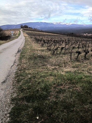 Chemin de Saint-peyre à Flassan au pied du Ventoux by gab113