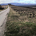 Chemin de Saint-peyre à Flassan au pied du Ventoux by gab113 - Flassan 84410 Vaucluse Provence France