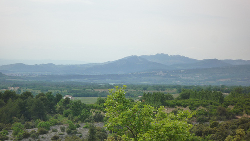 Dentelles de Montmirail by gab113