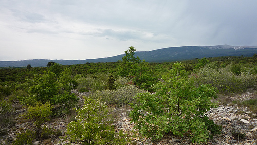 Mont-ventoux par gab113