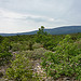 Mont-ventoux par gab113 - Flassan 84410 Vaucluse Provence France