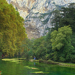 My brushes are magic by krissdefremicourt - Fontaine de Vaucluse 84800 Vaucluse Provence France