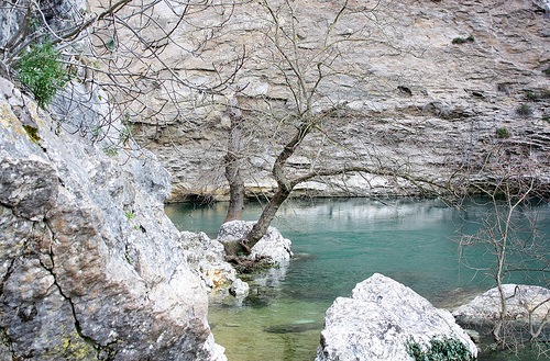 La sorgue claire et fraiche by Cilions