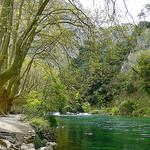 Au bord de la Sorgue par myvalleylil1 - Fontaine de Vaucluse 84800 Vaucluse Provence France