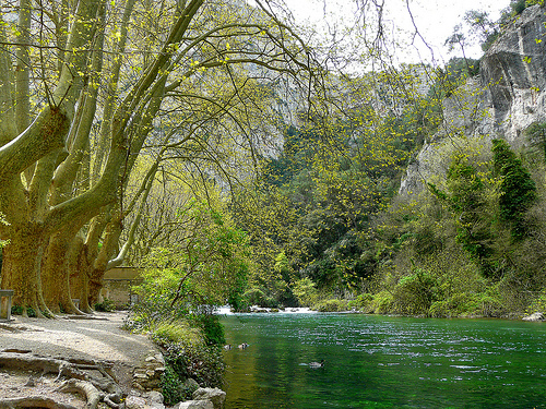 Au bord de la Sorgue by myvalleylil1