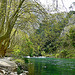 Au bord de la Sorgue par myvalleylil1 - Fontaine de Vaucluse 84800 Vaucluse Provence France