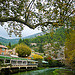Fontaine de Vaucluse et la Sorgue tout en vert par claude.attard.bezzina - Fontaine de Vaucluse 84800 Vaucluse Provence France