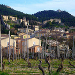 Vigne au pied de Gigondas par fgenoher - Gigondas 84190 Vaucluse Provence France