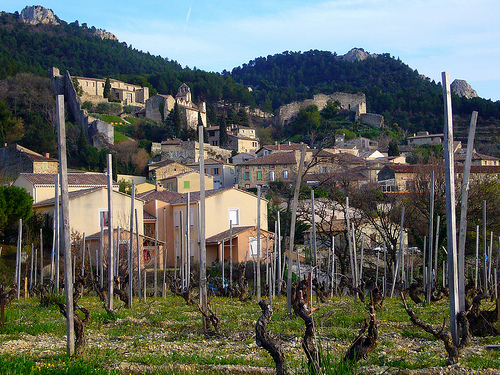 Vigne au pied de Gigondas par fgenoher