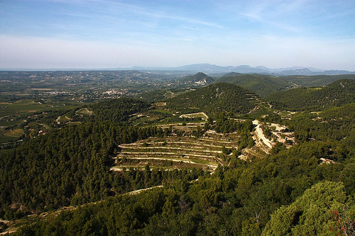 Panoramic view from the Belvedere by Sokleine