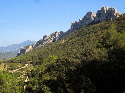 Dentelles de Montmirail : paradis de la vigne et des randonnées par Sokleine