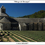 Le calme et sérénité de l'Abbaye de Sénanque par michel.seguret - Gordes 84220 Vaucluse Provence France