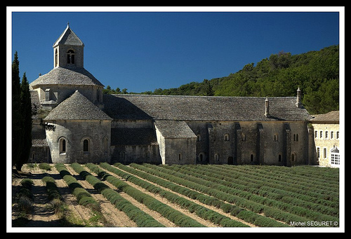 Le calme et sérénité de l'Abbaye de Sénanque par michel.seguret