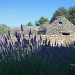 Village des Bories - lavande et cabanes par Alain Cachat - Gordes 84220 Vaucluse Provence France