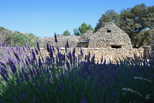 Village des Bories - lavande et cabanes by Alain Cachat