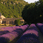 Les charmes du Lubéron... by D. [SansPretentionAucune] (•̪●)  ✪ - Gordes 84220 Vaucluse Provence France