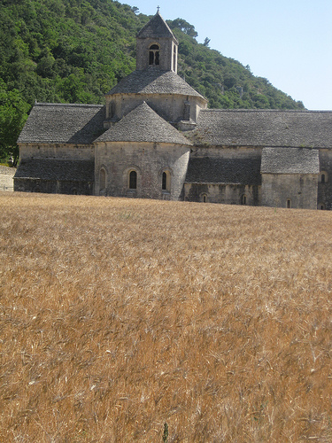 Abbey of Senanque -Luberon - Provence par Andrew Findlater