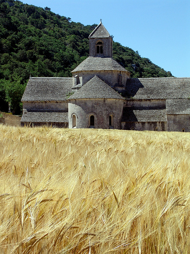 L'abbaye de Sénanque sur champs de blé par Mattia Camellini