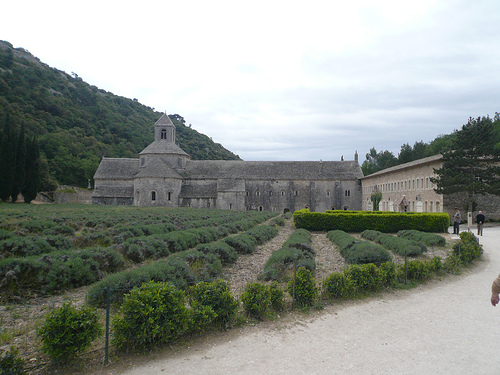 Abbaye Notre-Dame de Sénanque par gab113