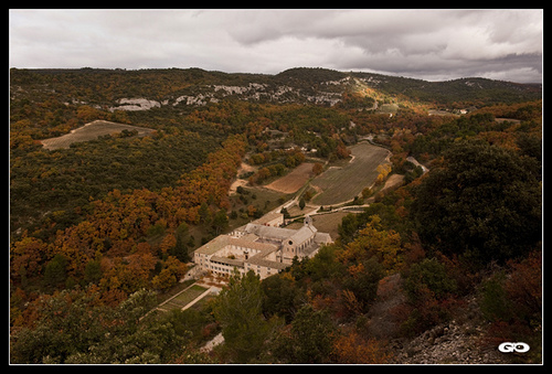 Abbaye de Senanque vue de haut par Coco chat n'elle