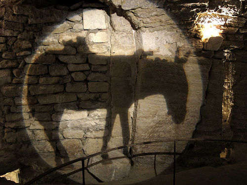 Ane dans les caves du palais Saint Firmin par dgidgil