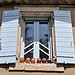 Fenêtre bleue à Gordes par Leo Ad - Gordes 84220 Vaucluse Provence France