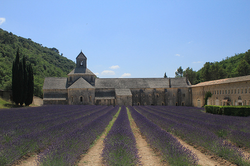 Abbaye de Sénanque et son champs de lavande par Jen.Cz
